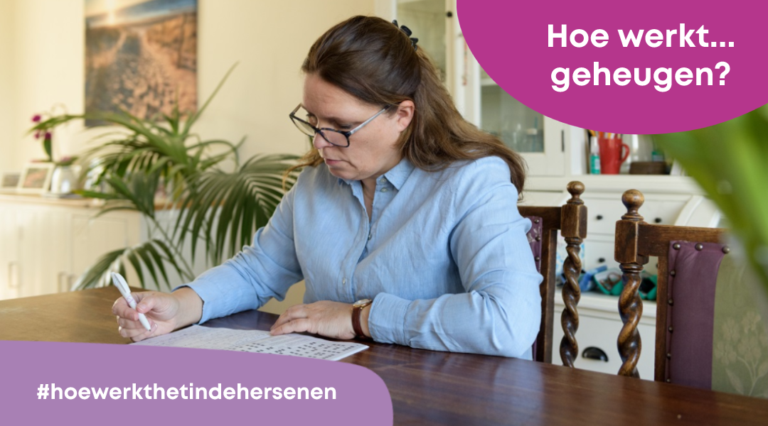 Functies Van Je Hersenen Hersenstichting