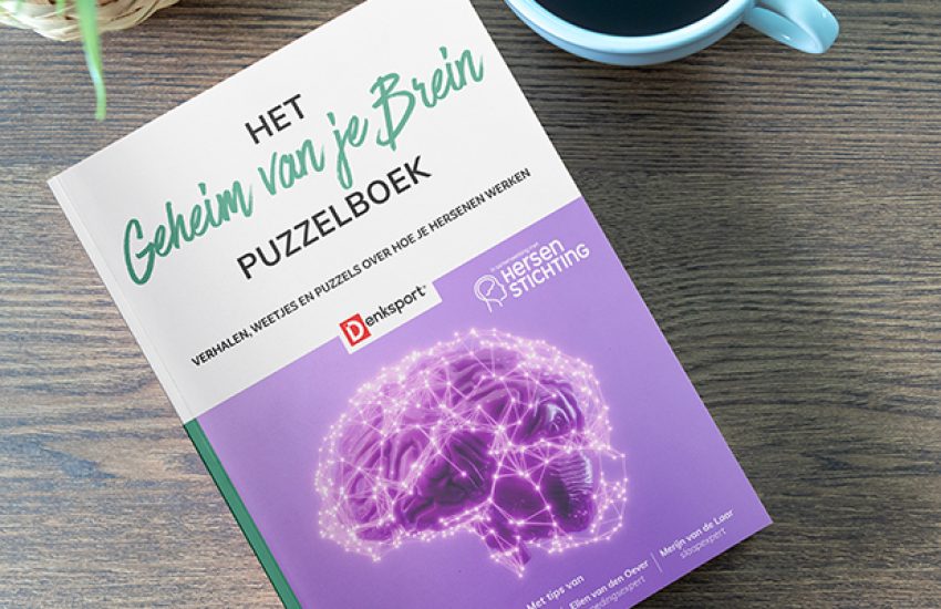 puzzelboek denksport